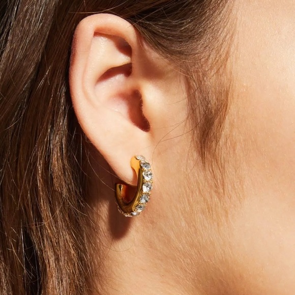 Lele Sadoughi Crystal Chubbie Pave Huggie  Hoops - Picture 5 of 7